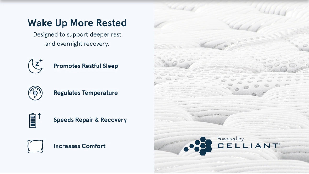Bear Elite Mattress