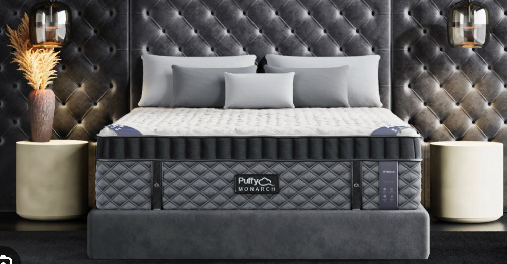 Puffy Monarch Hybrid