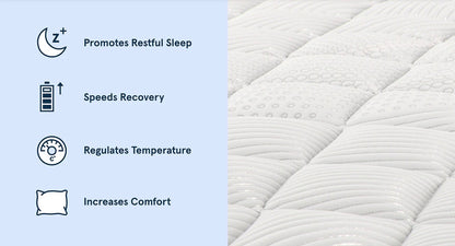 Bear Pro Hybrid Mattress