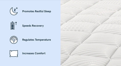 Bear Original Hybrid Mattress