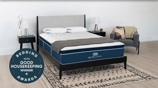 Bear Elite Mattress