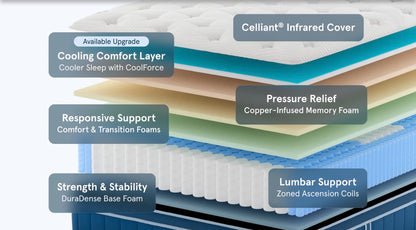 Bear Elite Mattress