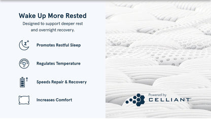 Bear Elite Mattress